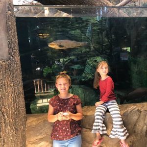 Meet your Posher, Becky